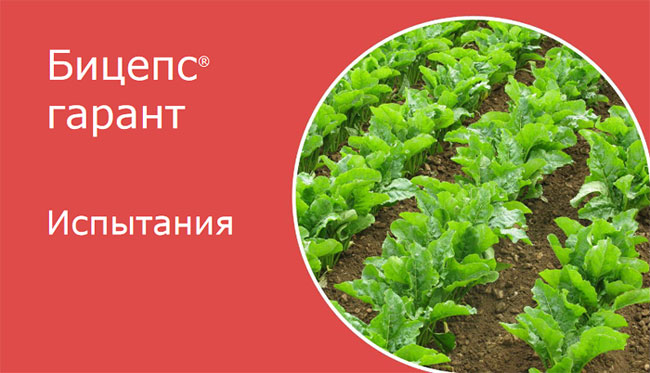 Испытания
