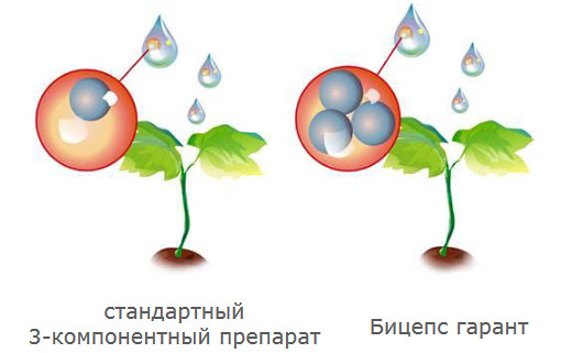Препаративная форма