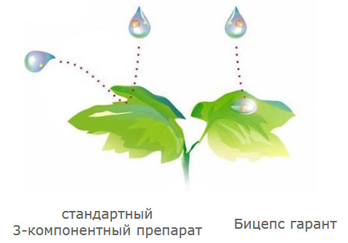 Препаративная форма