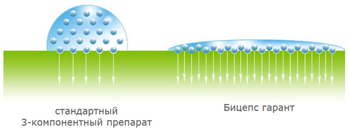 Препаративная форма