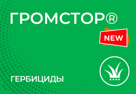 Громстор