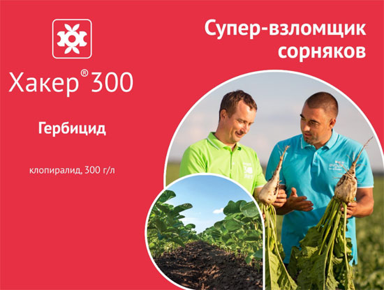 Гербицид Хакер 300