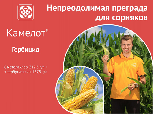 Камелот