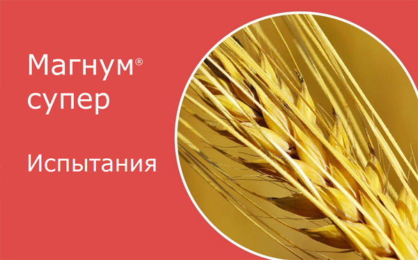 Испытания