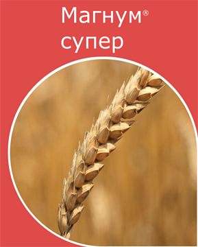 Магнум супер