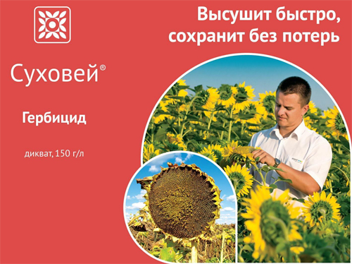 Суховей