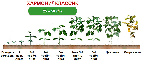 Защита сои препаратом Хармони Классик