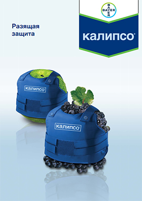 Калипсо