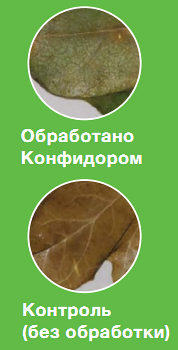 Влияние конфидора