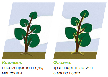 Транспортные пути