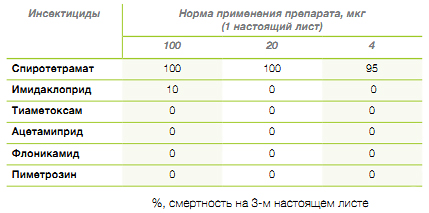 Таблица