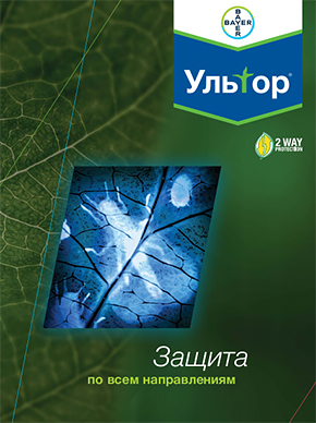 Ультор