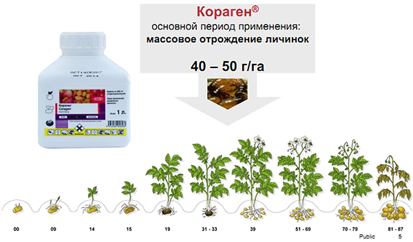 Период применения