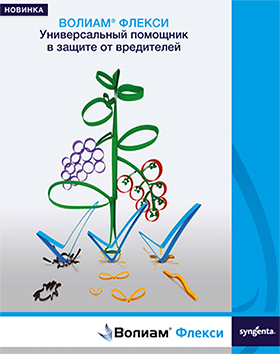 ВОЛИАМ ФЛЕКСИ