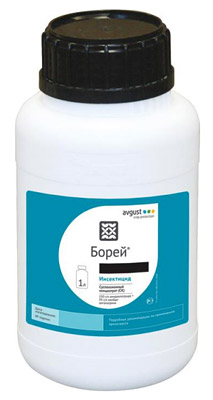 Борей