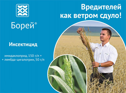 Инсектицид Борей