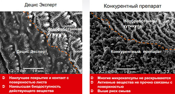 Лучшее покрытие поверхности злаковой тли