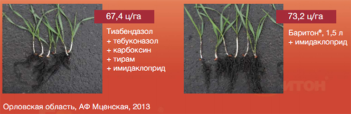 Эффективность на практике