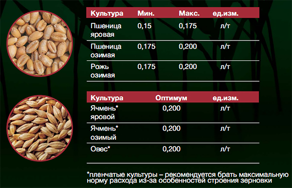 Рекомендуемые нормы расхода
