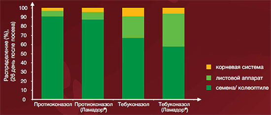 Распределение в растении