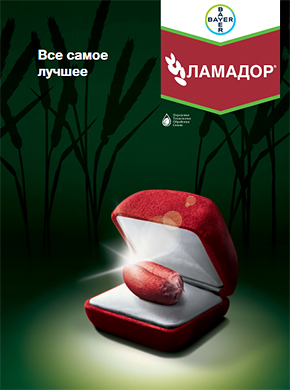 Ламадор