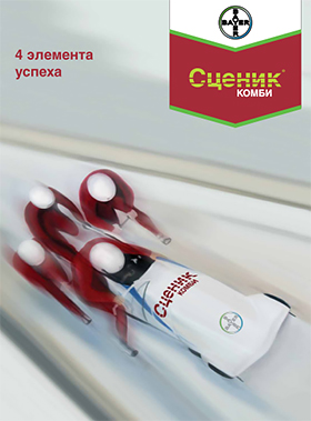 Сценик Комби