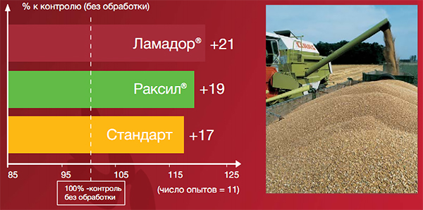 Урожайность пшеницы