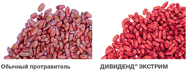 Сравнение