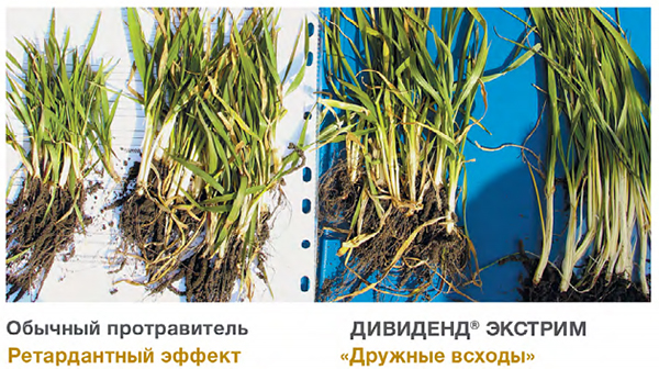 Сравнение