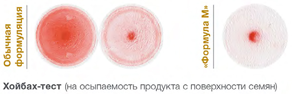 Хойбах-тест
