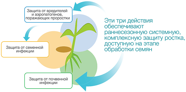 Три действия