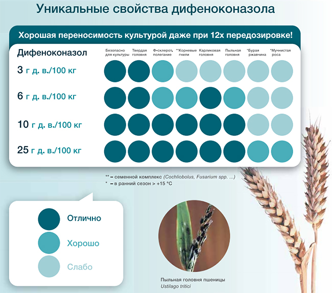 Уникальные свойства дифеноконазола