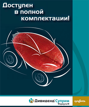 ДИВИДЕНД СУПРИМ 