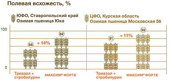 Полевая всхожесть