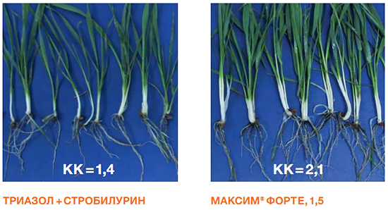 Реализация потенциала