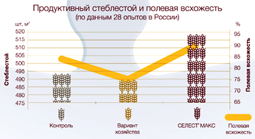 Таблица