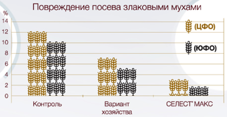Таблица