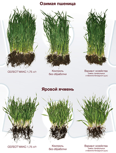 Увеличение урожая