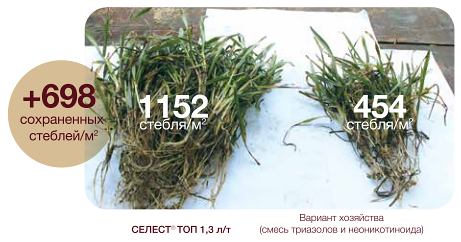 Сравнение результатов