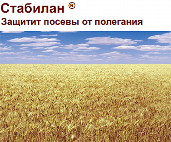 Стабилан