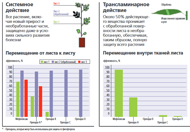 Системные и трансламинарные свойства