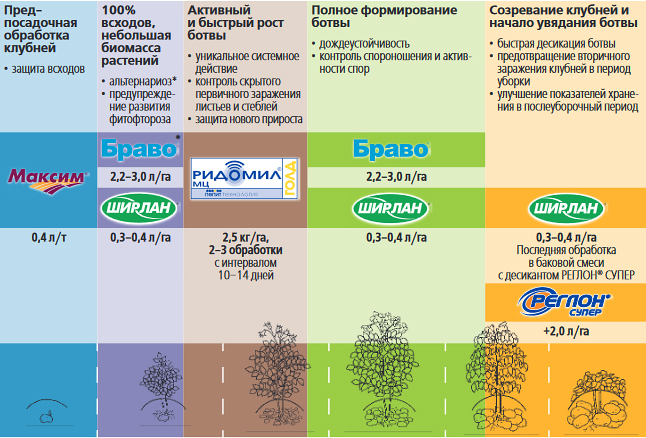 Программа защиты картофеля от фитофтороза