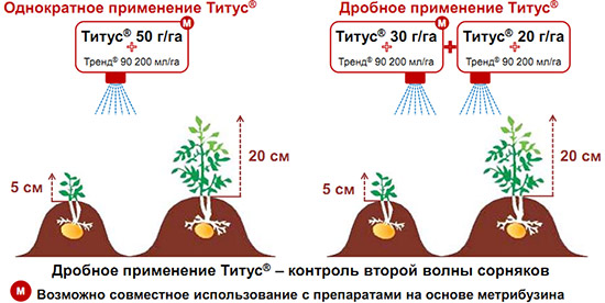 Широкий диапазон сроков применения Титус