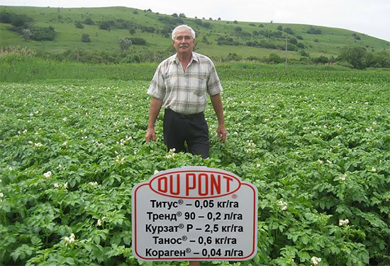 Ставропольский край