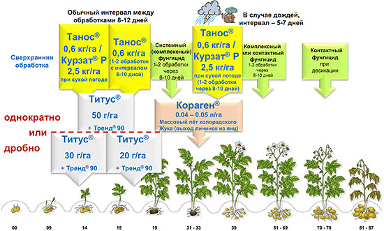 Действие препарата Титус