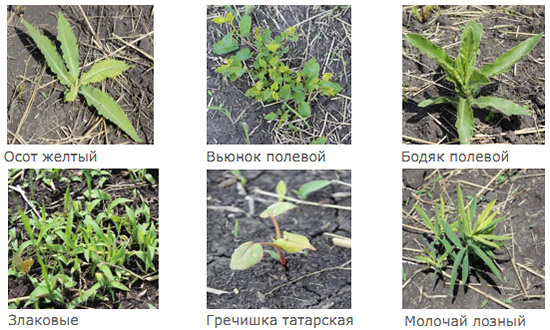 Результаты применения