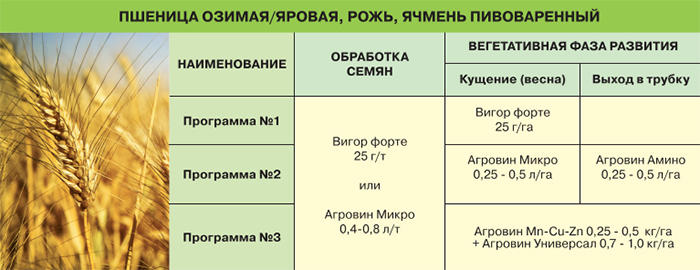 Пшеница, рожь, ячмень