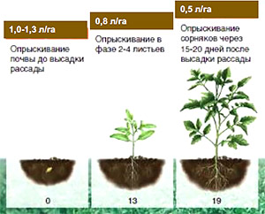 Применение на томатах