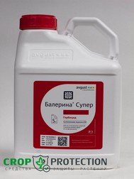 Балерина Супер 5 л.